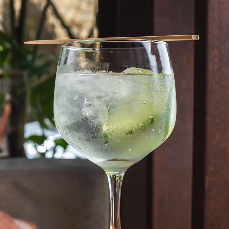 Gin Tonic